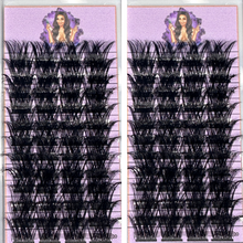 Load image into Gallery viewer, 48 Lash Clusters