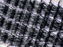 Load image into Gallery viewer, 48 Lash Clusters